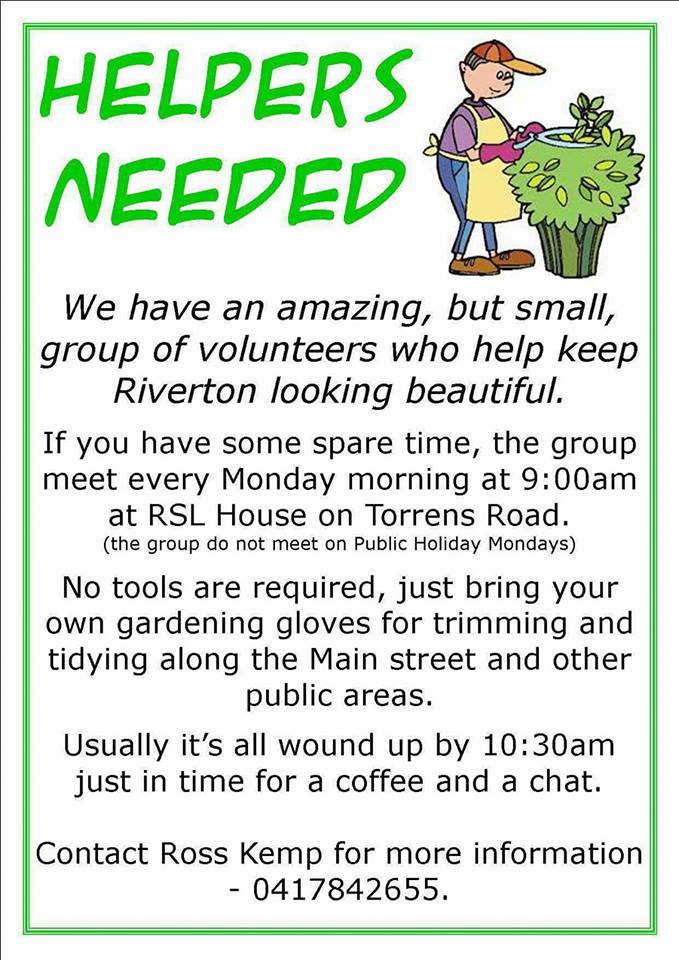 18813410_1904937889721966_7116271083962868726_n