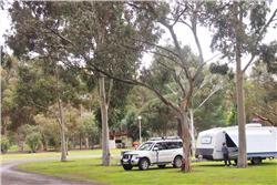 Riverton_SA_Riverton_Caravan_Park
